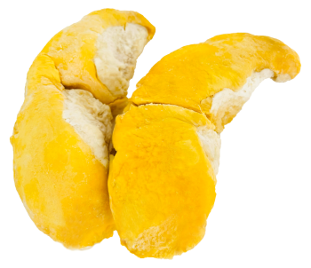 SẦU RIÊNG ĐÔNG LẠNH